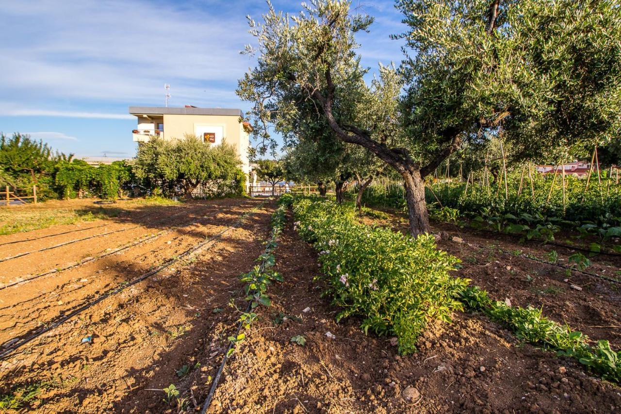 טרמולי Il Gallo Con Gli Stivali מראה חיצוני תמונה